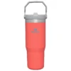 Stanley The Iceflow Flip Straw Tumbler - Insulated Mug